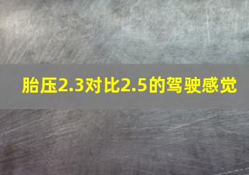 胎压2.3对比2.5的驾驶感觉