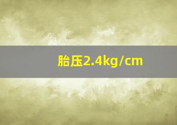 胎压2.4kg/cm