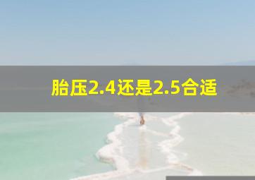 胎压2.4还是2.5合适