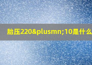 胎压220±10是什么意思