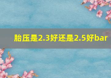 胎压是2.3好还是2.5好bar