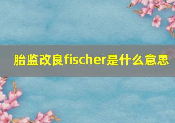 胎监改良fischer是什么意思