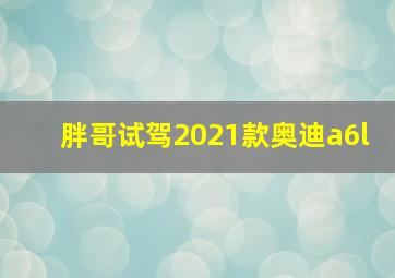 胖哥试驾2021款奥迪a6l