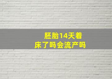 胚胎14天着床了吗会流产吗