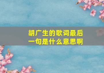 胡广生的歌词最后一句是什么意思啊