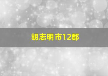 胡志明市12郡