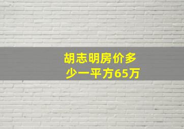 胡志明房价多少一平方65万