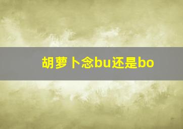 胡萝卜念bu还是bo