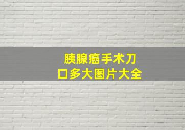 胰腺癌手术刀口多大图片大全