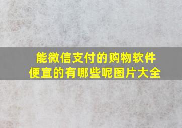 能微信支付的购物软件便宜的有哪些呢图片大全