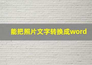 能把照片文字转换成word