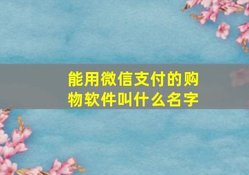 能用微信支付的购物软件叫什么名字