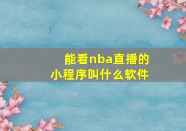 能看nba直播的小程序叫什么软件