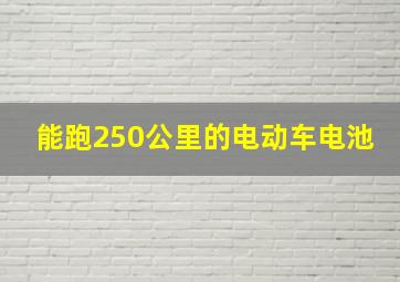 能跑250公里的电动车电池