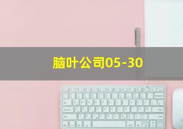 脑叶公司05-30