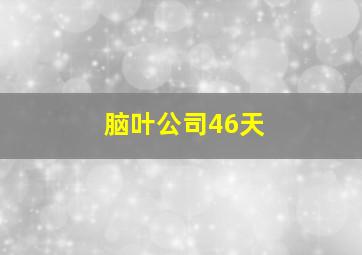 脑叶公司46天