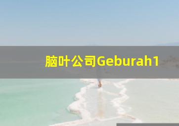 脑叶公司Geburah1