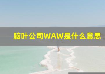 脑叶公司WAW是什么意思