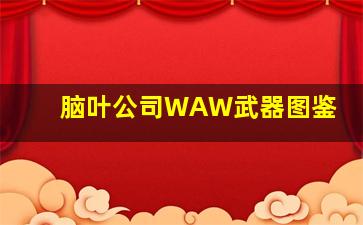 脑叶公司WAW武器图鉴