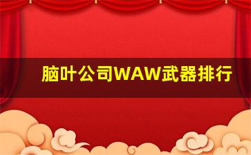 脑叶公司WAW武器排行