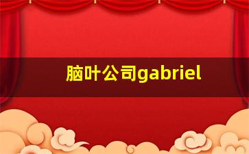 脑叶公司gabriel