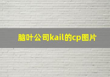 脑叶公司kail的cp图片