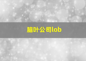 脑叶公司lob