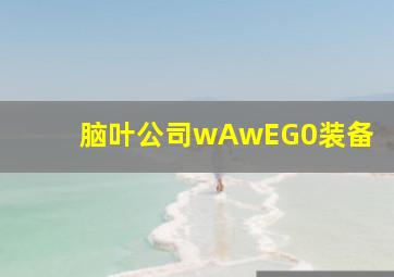 脑叶公司wAwEG0装备