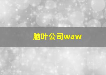 脑叶公司waw