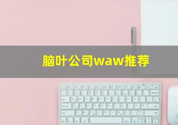 脑叶公司waw推荐