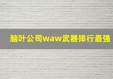 脑叶公司waw武器排行最强