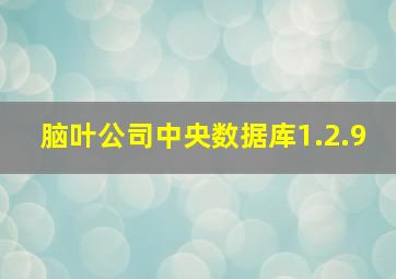 脑叶公司中央数据库1.2.9