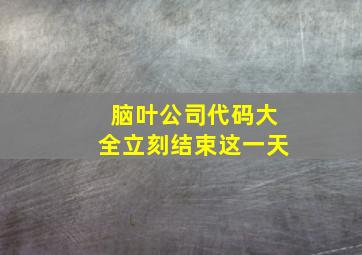 脑叶公司代码大全立刻结束这一天