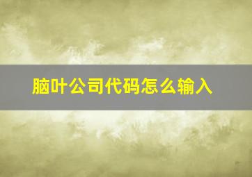 脑叶公司代码怎么输入