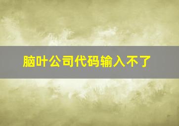 脑叶公司代码输入不了