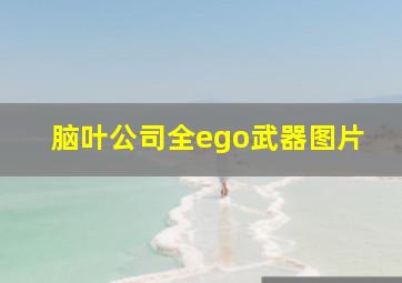 脑叶公司全ego武器图片