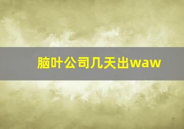 脑叶公司几天出waw