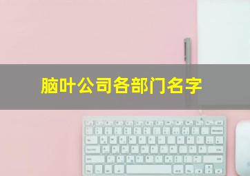 脑叶公司各部门名字