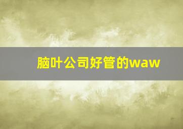 脑叶公司好管的waw