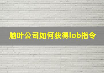 脑叶公司如何获得lob指令