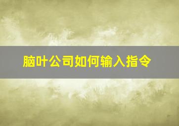 脑叶公司如何输入指令