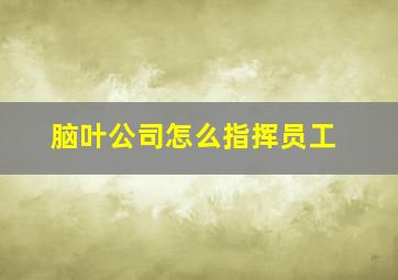 脑叶公司怎么指挥员工