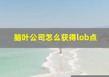 脑叶公司怎么获得lob点