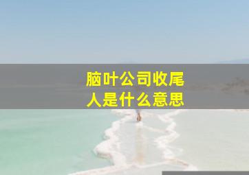 脑叶公司收尾人是什么意思