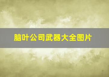 脑叶公司武器大全图片