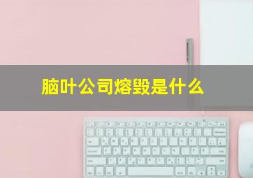 脑叶公司熔毁是什么