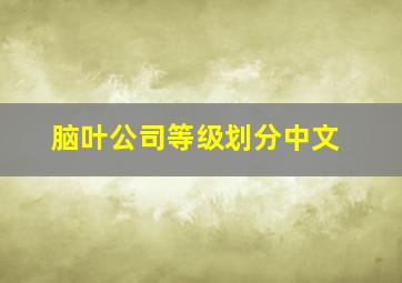 脑叶公司等级划分中文