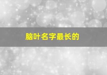 脑叶名字最长的