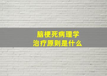 脑梗死病理学治疗原则是什么