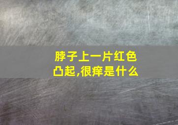 脖子上一片红色凸起,很痒是什么